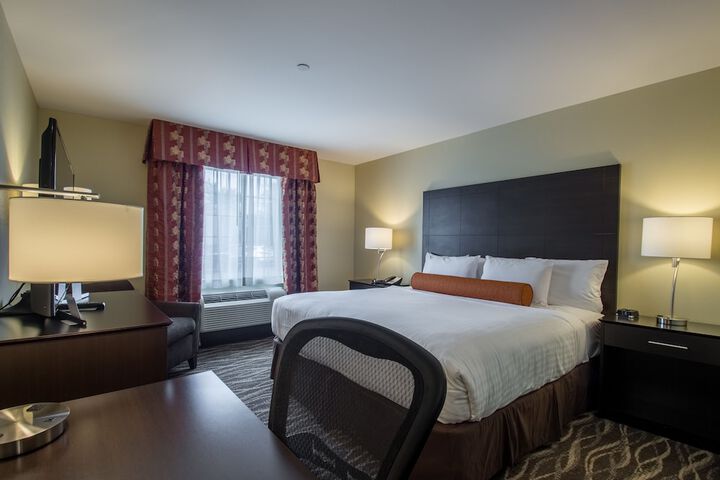 1 King Bed Accessible (17 of 17)