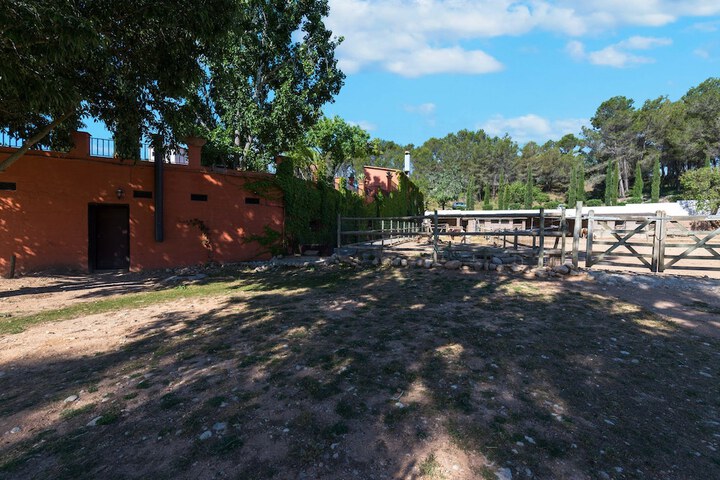 Property Grounds 50 of 98