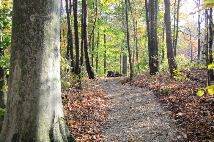 Outdoor Activities 296 of 345