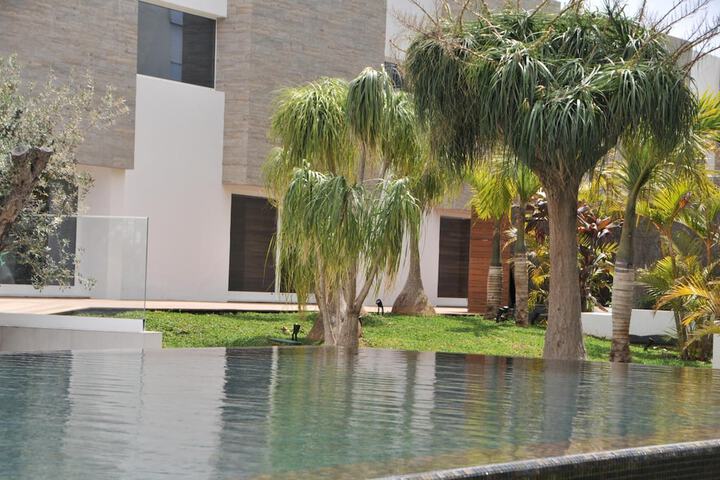 Pool to Cool