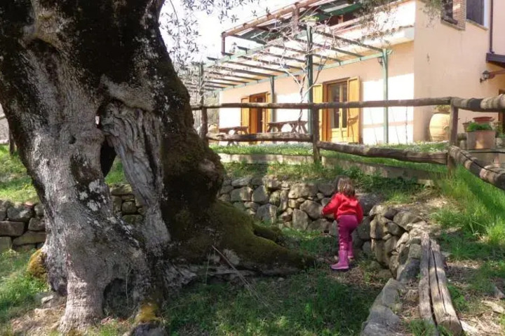 Photo of IL GIARDINO