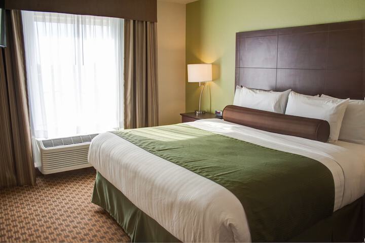 1 King Bed (18 of 19)