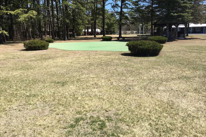 Golf 29 of 62