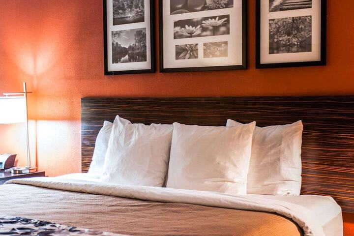 1 King Bed Suite Accessible (5 of 7)