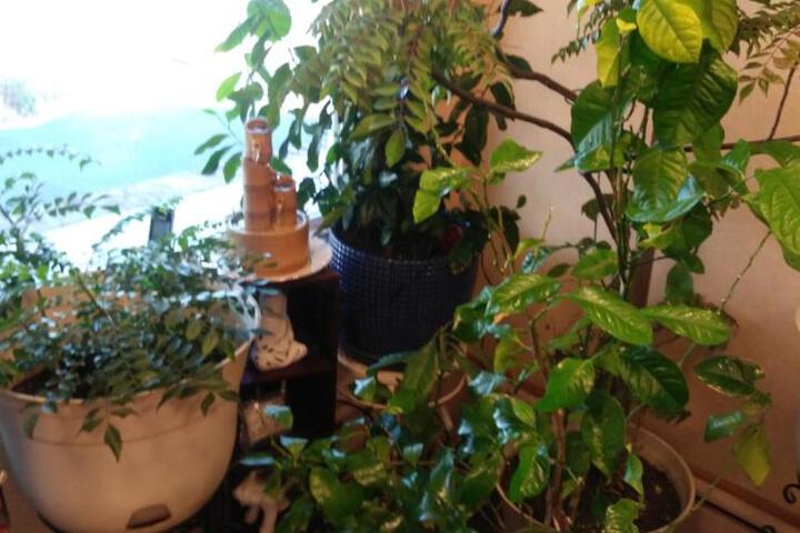 Photo 9