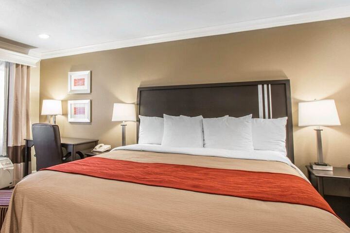 1 King Bed (6 of 12)