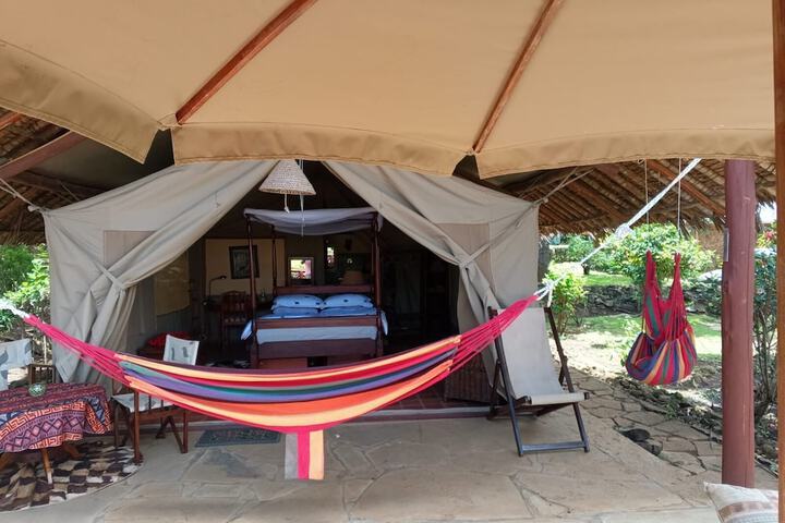 Room 4 of 25