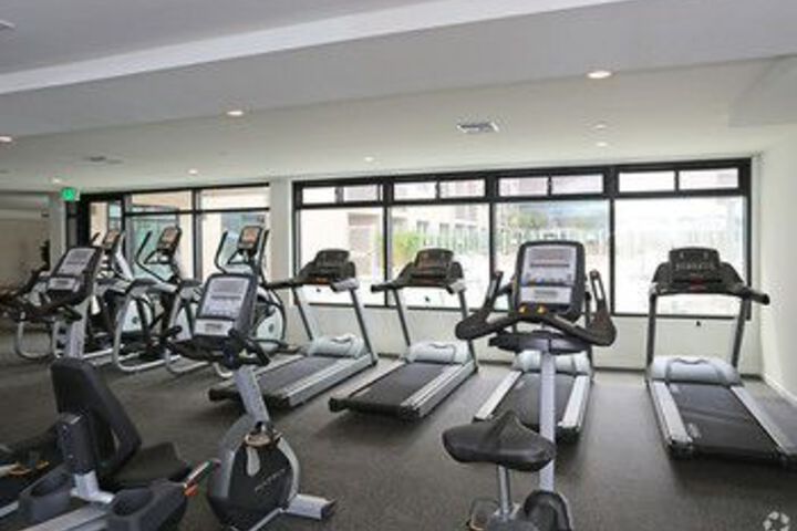 Health and Fitness 5 of 38