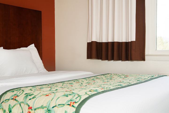 2 Queen Beds (1 of 5)