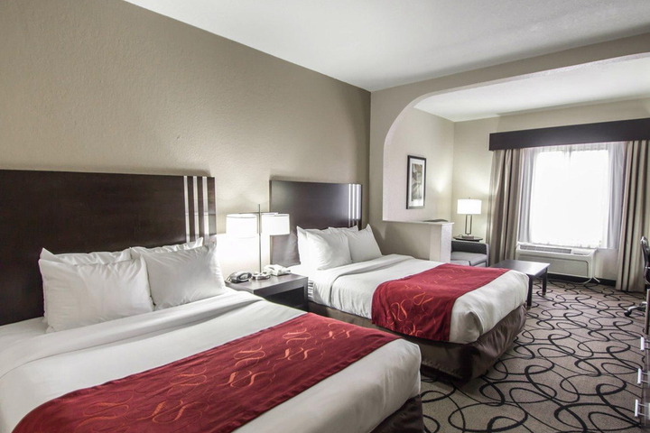 1 King Bed