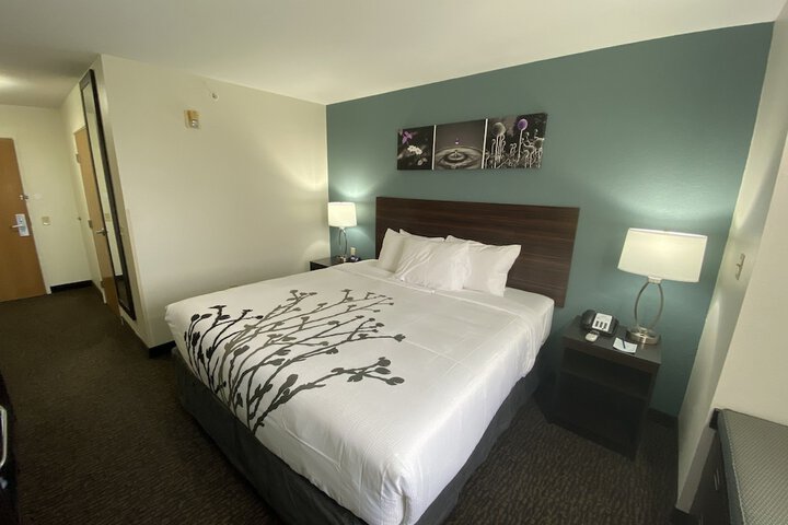 1 King Bed Accessible (12 of 15)