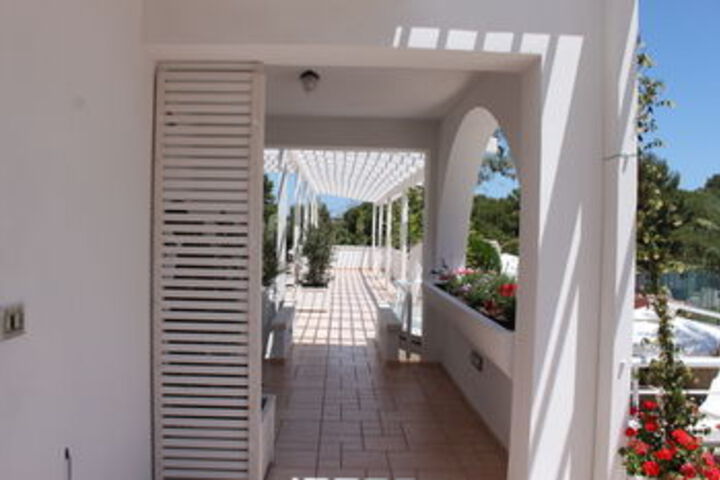 Terrace/Patio 36 of 39