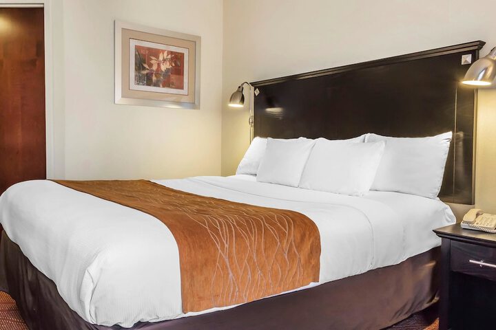 1 King Bed (12 of 17)