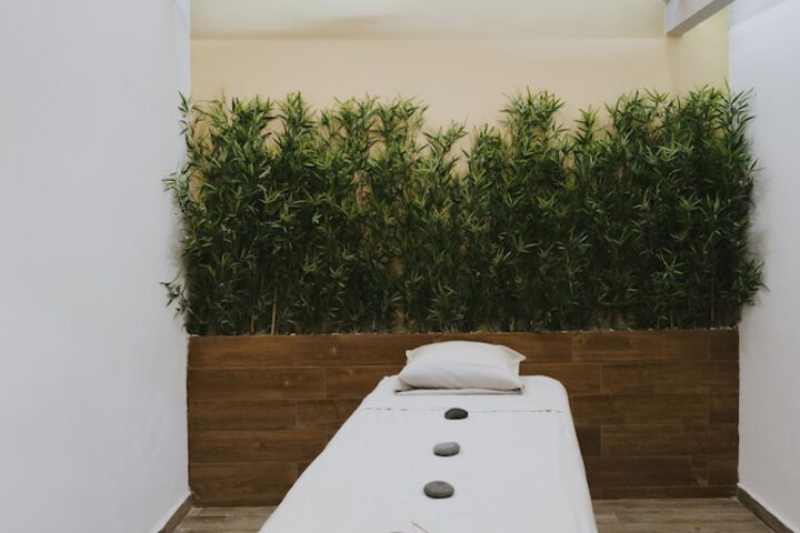 Spa and Wellness
