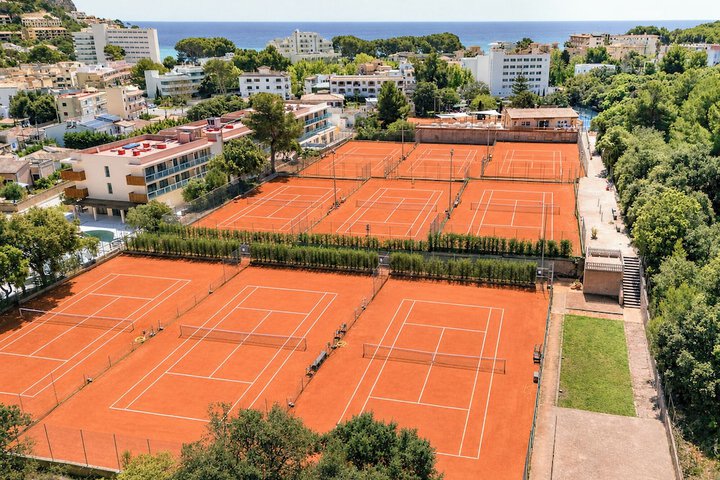 Tennis court