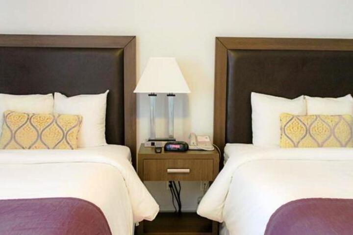 Standard Room, King or Two Doubles (2 of 7)