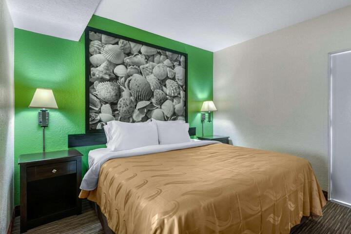 1 King Bed (25 of 27)