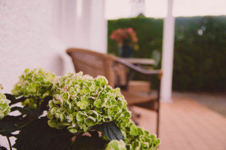 Spa and Wellness Pictures