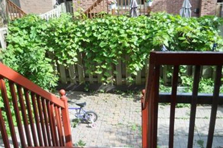 Terrace/Patio 7 of 7