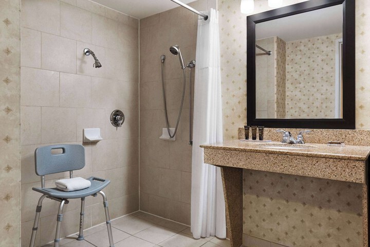 1 King Accessible with Roll in Shower (8 of 39)