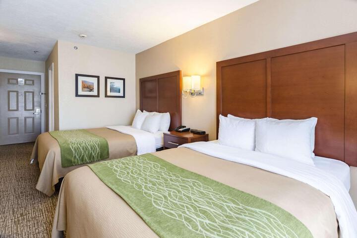 Standard 2 Queen Beds Accessible (5 of 13)