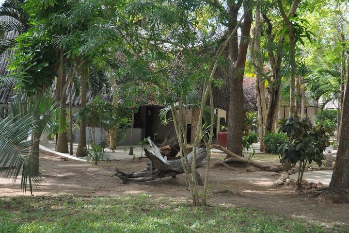 Property Grounds 89 of 174