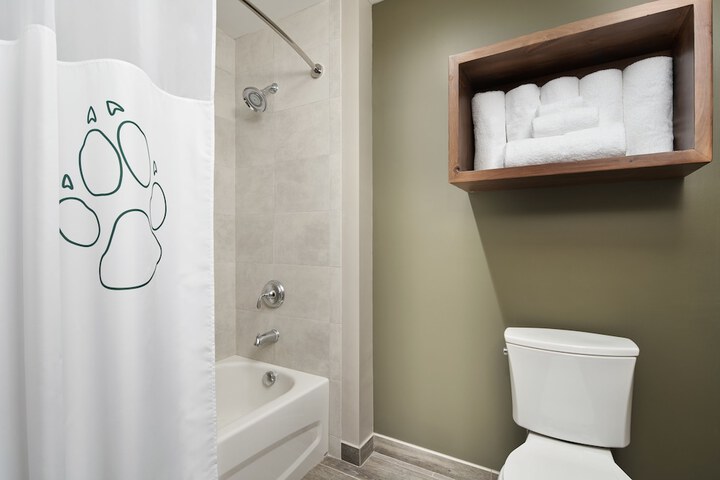 Bathroom Interior Photo
