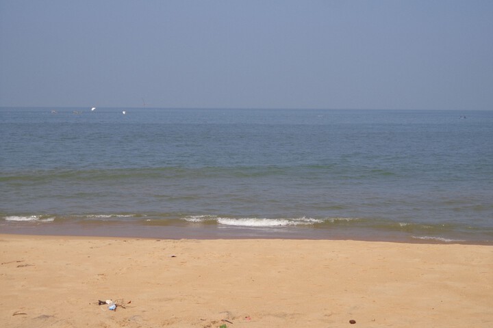 Beach 64 of 81