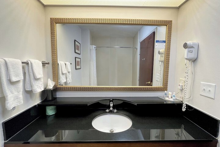1 King Bed Suite (10 of 10)