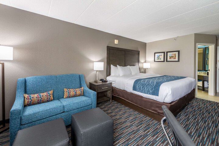 1 King Bed (4 of 17)