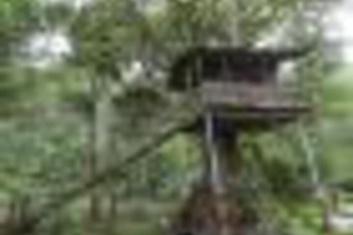 BLUEBELLS VALLEY RESORT