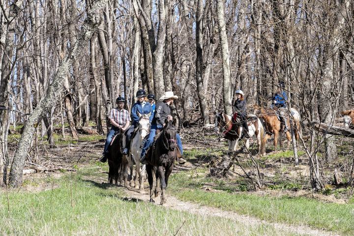 Horseback riding