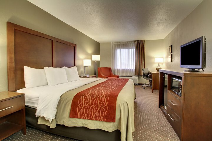 Standard with 1 King Bed (9 of 14)