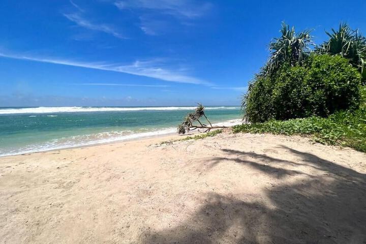 Beach 122 of 147