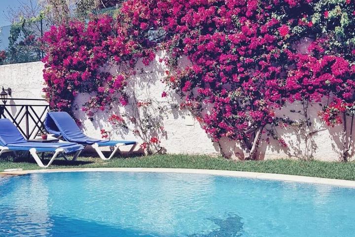 Pool 14 of 59