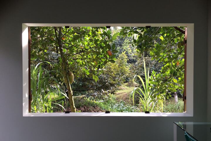 View from room