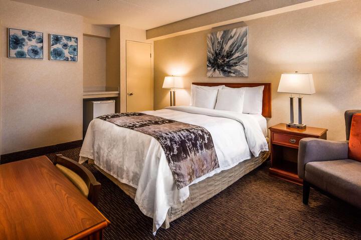 1 Queen Bed Microwave and Refrigerator Work Desk WiFi Continental Breakfast (4 of 20)