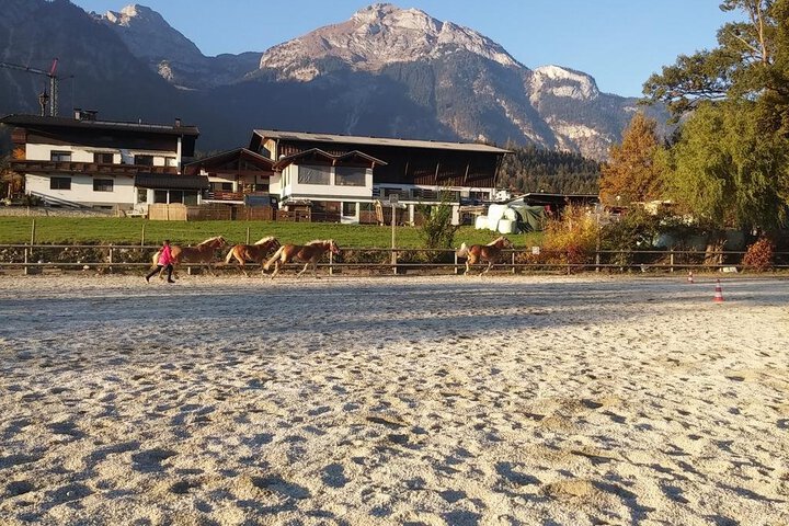 Lamplhof