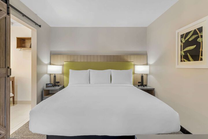 1 King Bed Accessible (15 of 20)