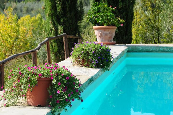 Pool 17 of 45