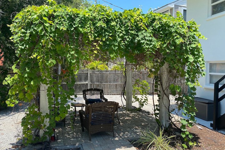 Terrace/Patio 123 of 230