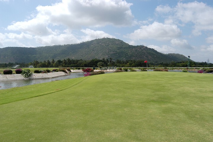 Golf 37 of 50