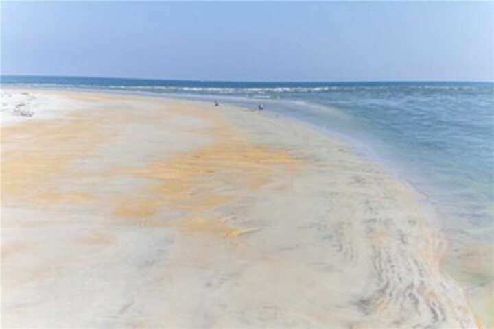 Beach 8 of 31