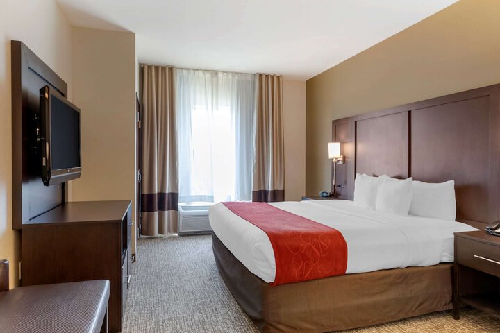 1 King Bed Suite (10 of 16)