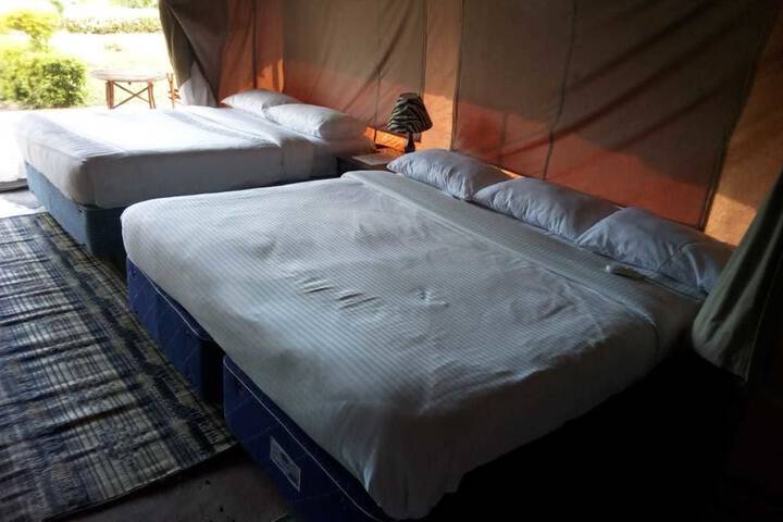 Room 9 of 53