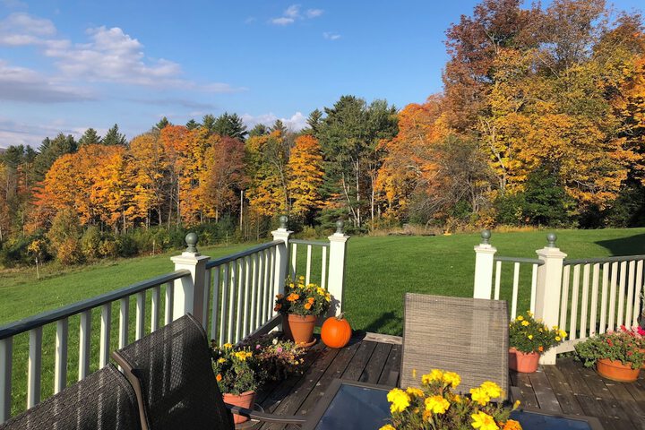 Terrace/Patio 44 of 91
