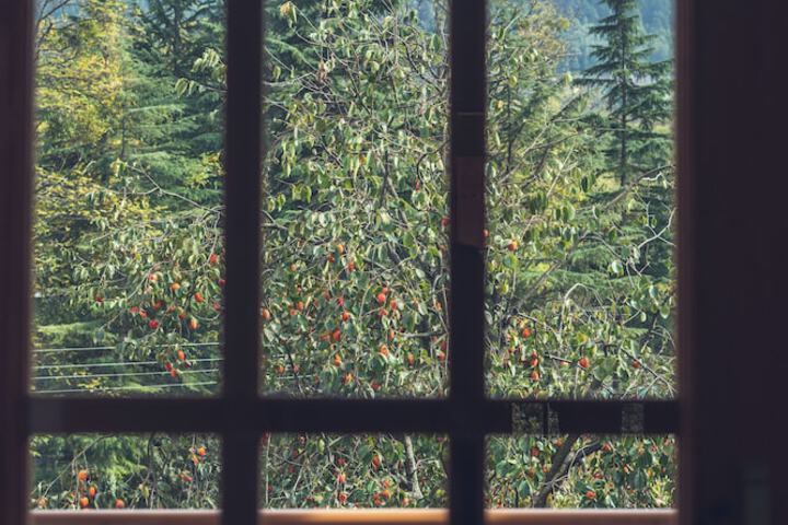 Room 21 of 50