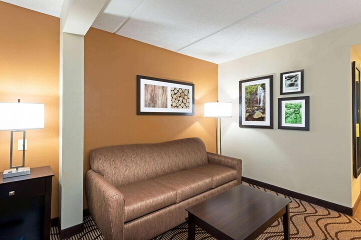 1 King Bed Accessible (5 of 8)