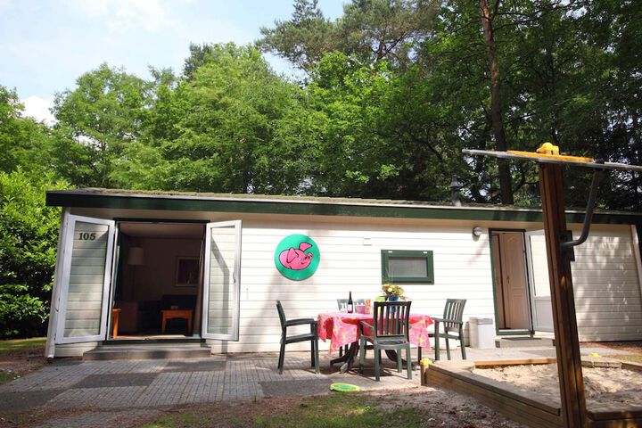 Tidy Furnished Chalet With a Combi Microwave in the Veluwe in Epe
