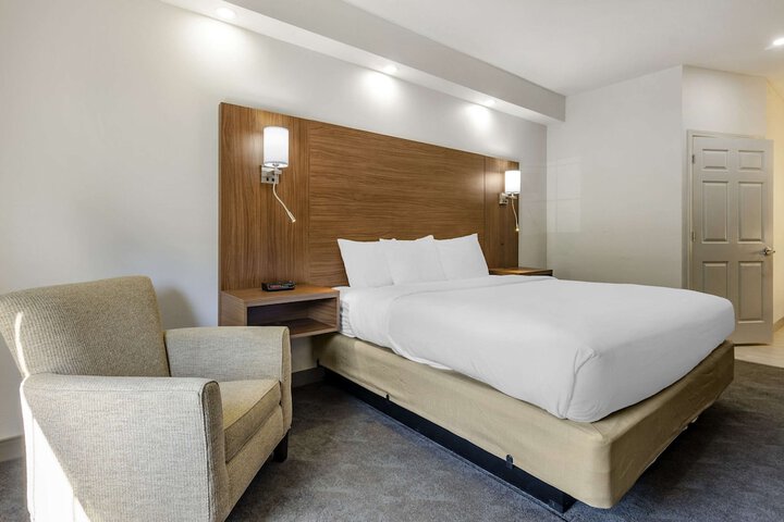 1 King Bed (6 of 8)